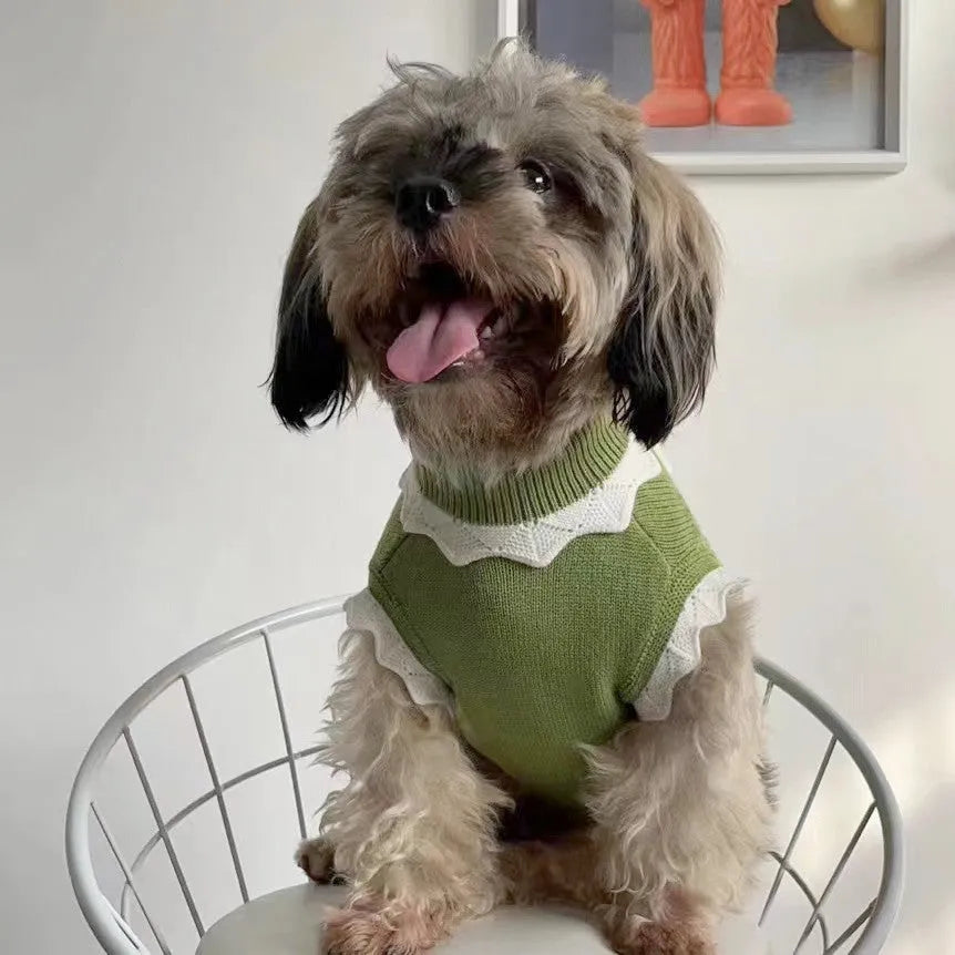 Green floral knitted dog sweater on a small dog, showing the pullover design and blossom pattern.