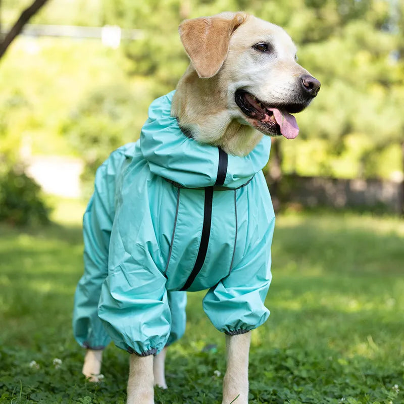 Red cotton-padded dog shell jacket on a medium-sized dog, showing sporty style and fastened front.