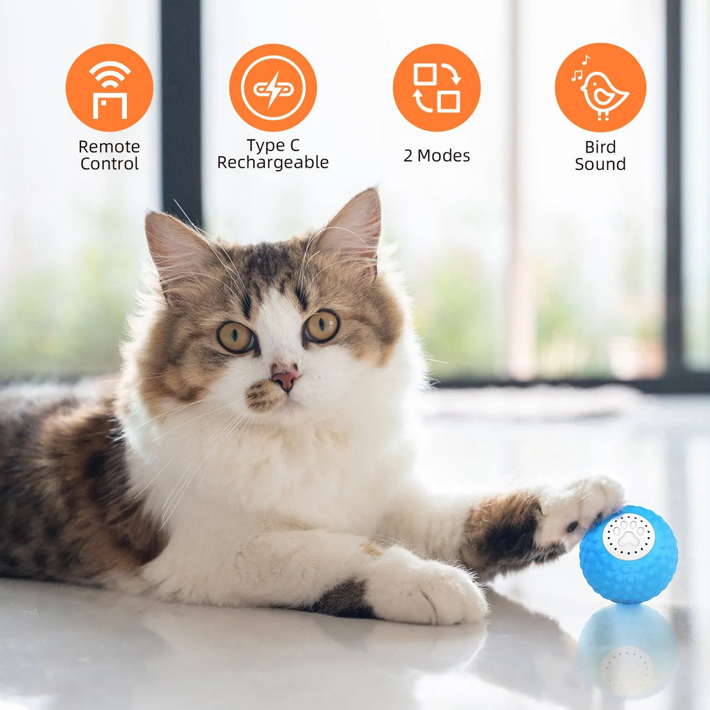 Remote control cat toy ball in blue, green, and yellow colour options