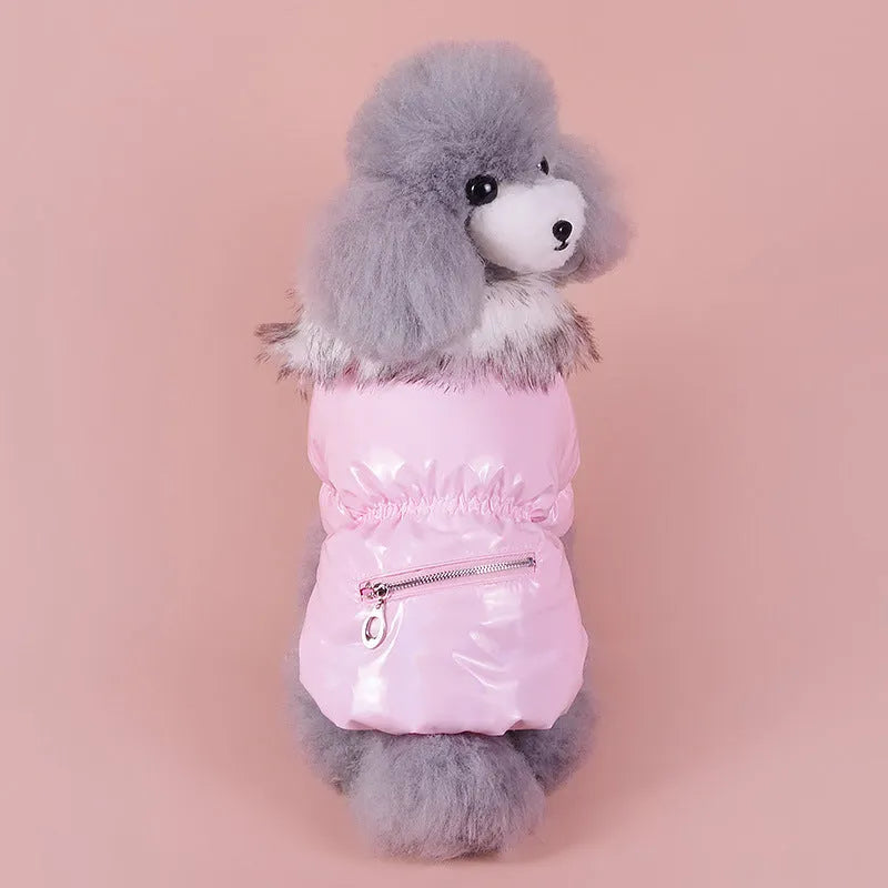 Blue British-style thick cotton winter jacket for a dog on a winter day.