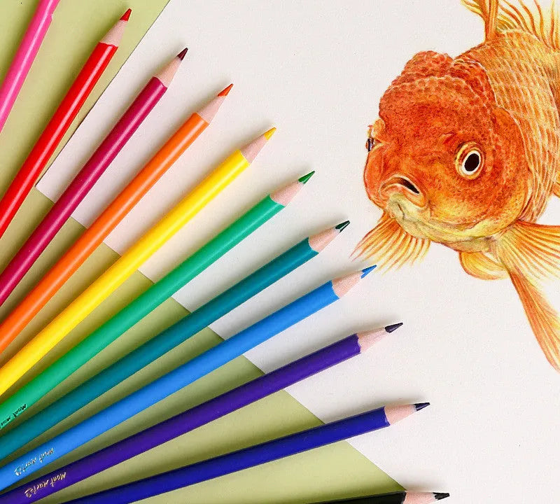 24 colour cartoon style pencils with wooden barrels in paper packaging case