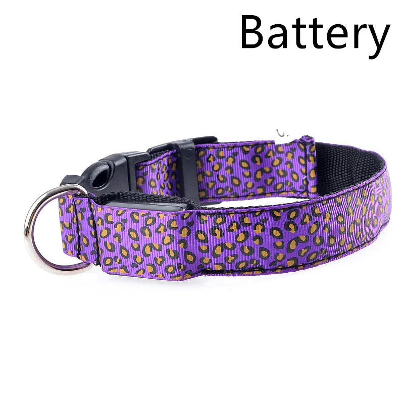 Rechargeable LED dog collar made of nylon webbing with USB charging available in multiple colours and sizes for small to large dogs
