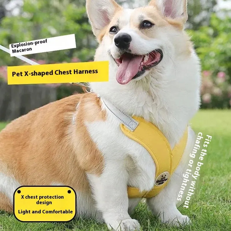 Blue polyester dog vest with an attached hand-holding rope for training.