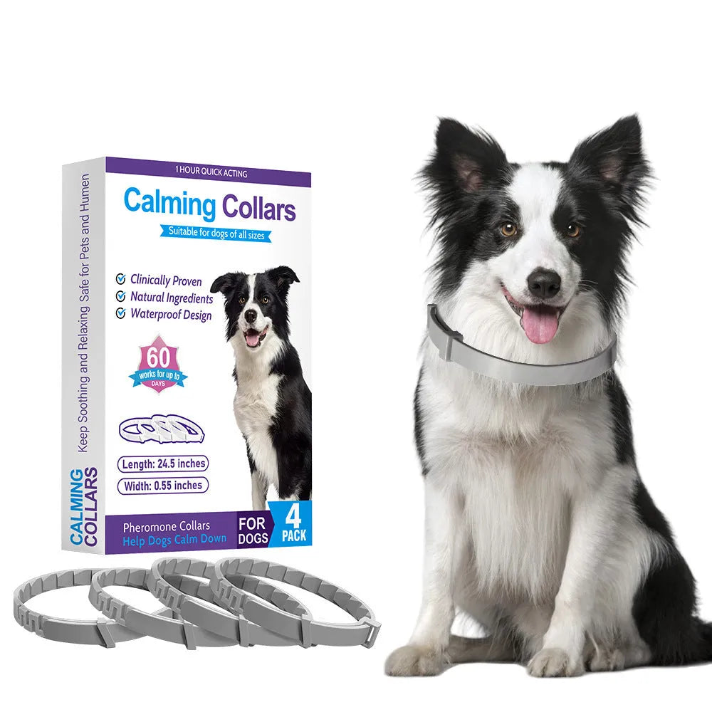 A pack of four solid-colour dog anxiety relief collars made from black, blue, grey, and pink TPR, each measuring 62cm.