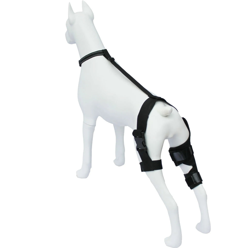 Neoprene dog hind leg knee brace assist strap in various colours and sizes