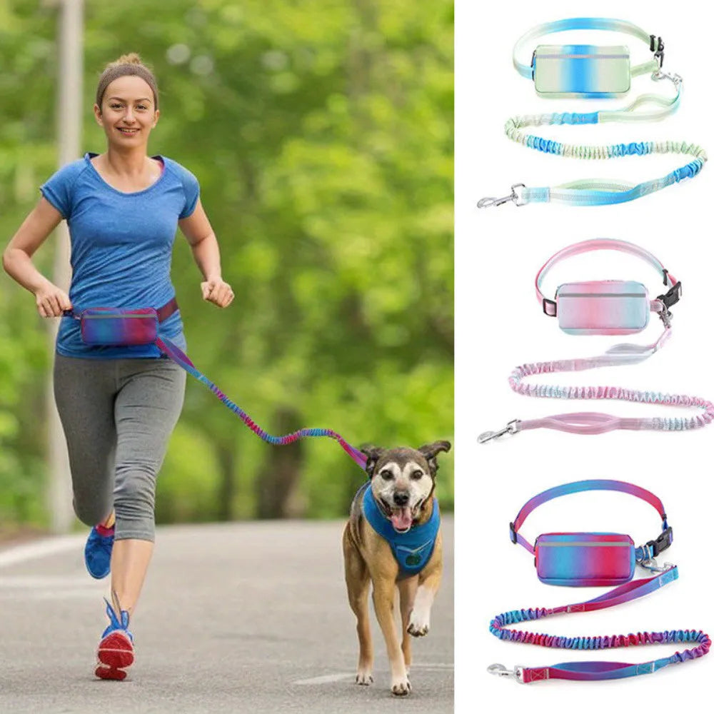 Blue hands-free dog leash with waist belt and reflective elements extended to full length