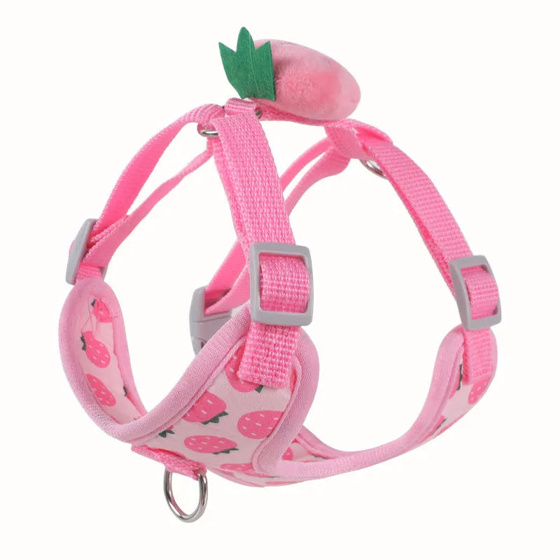 Reflective chest strap vest and lead set for small dog walking in bright colours