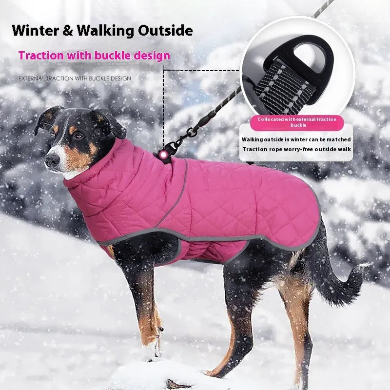 Rose Red lightweight cotton-padded dog coat on a medium breed dog, polyester casual style for cold weather