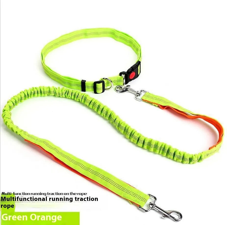 Gray and green nylon dog leash with reflective filament sling for outdoor night safety