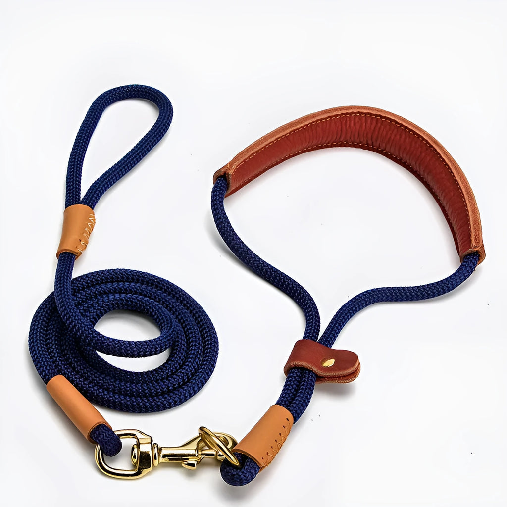 Lightweight blue nylon dog leash with metal clip on a white background.