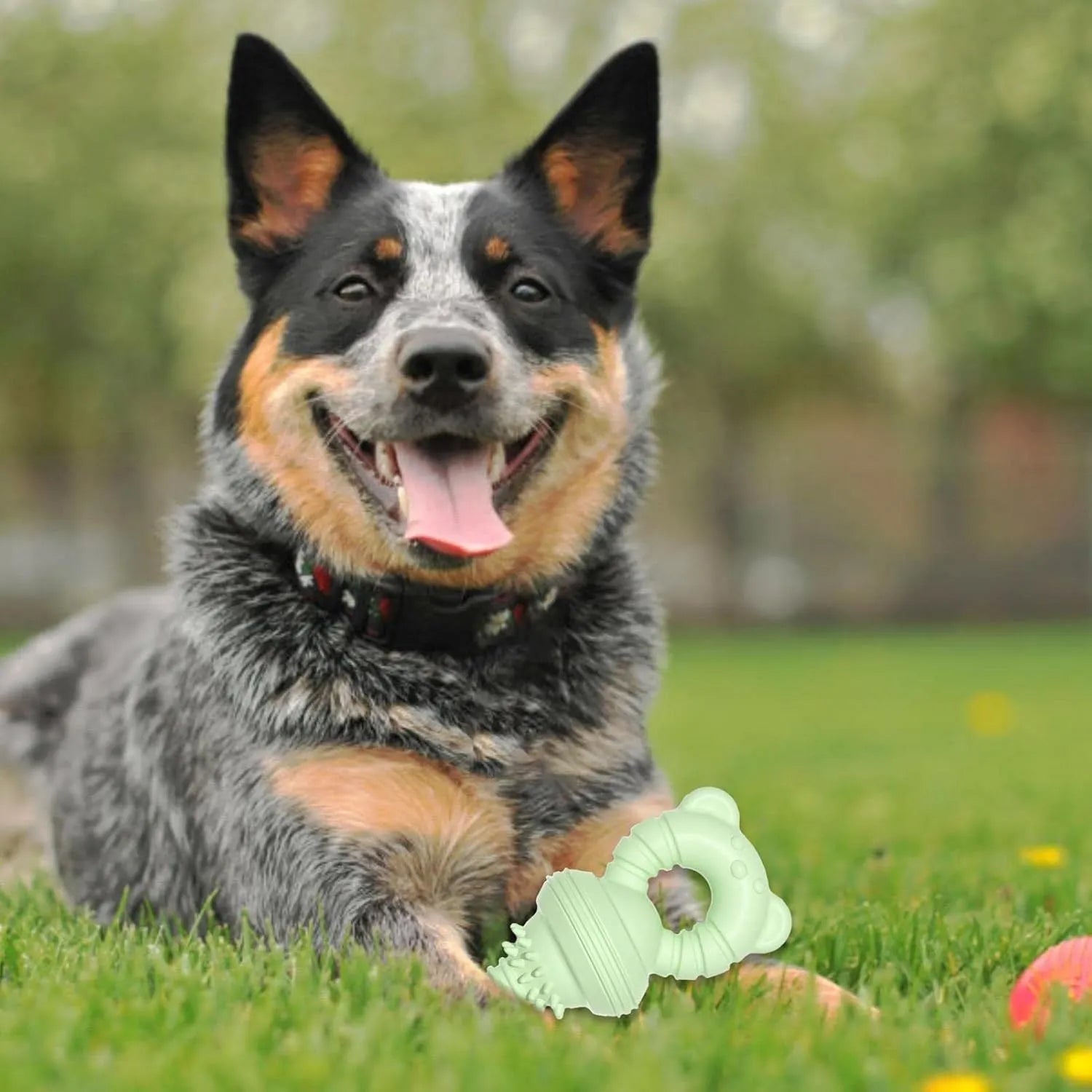 Blue durable rubber dog chew toy with textured concave-convex cleaning surface for aggressive chewers.