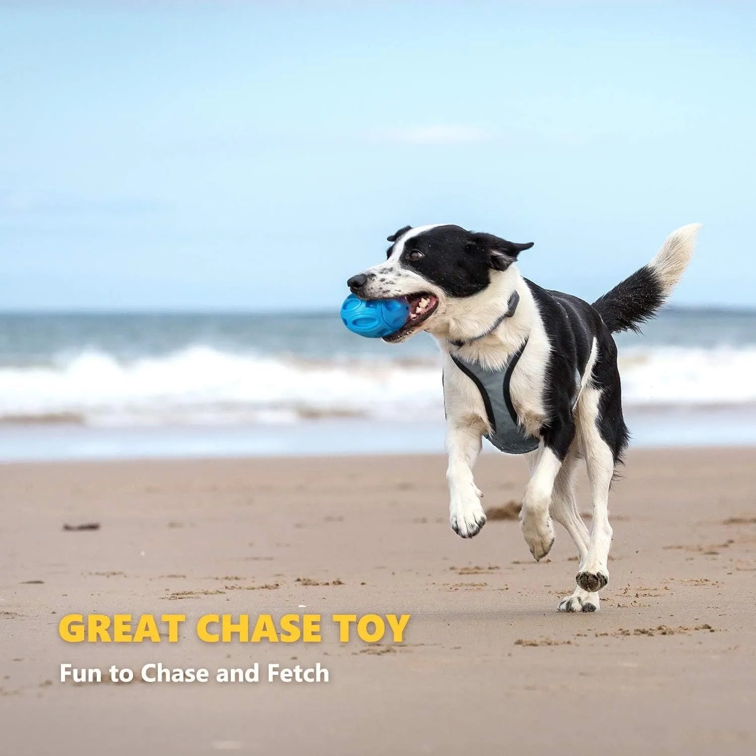 Blue, green, and orange natural rubber squeaky dog chew ball with grooved surface.