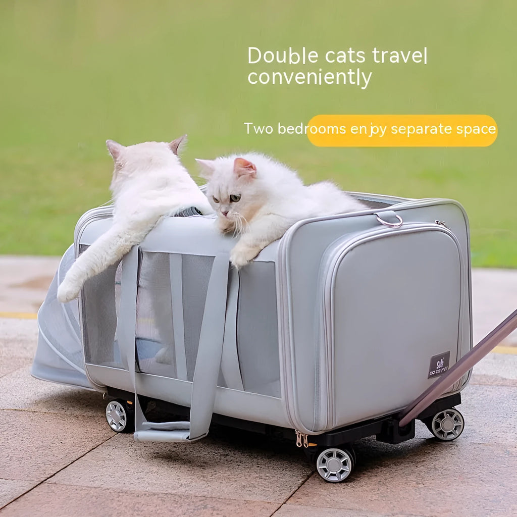 Large beige polyester wheeled pet trolley bag with cat inside, size 44x53x33cm