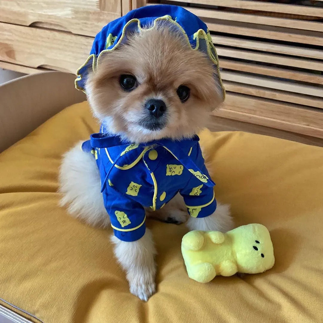 Pure cotton Candy Bear hat pajama set for dogs in vest style, available in sizes S to 2XL