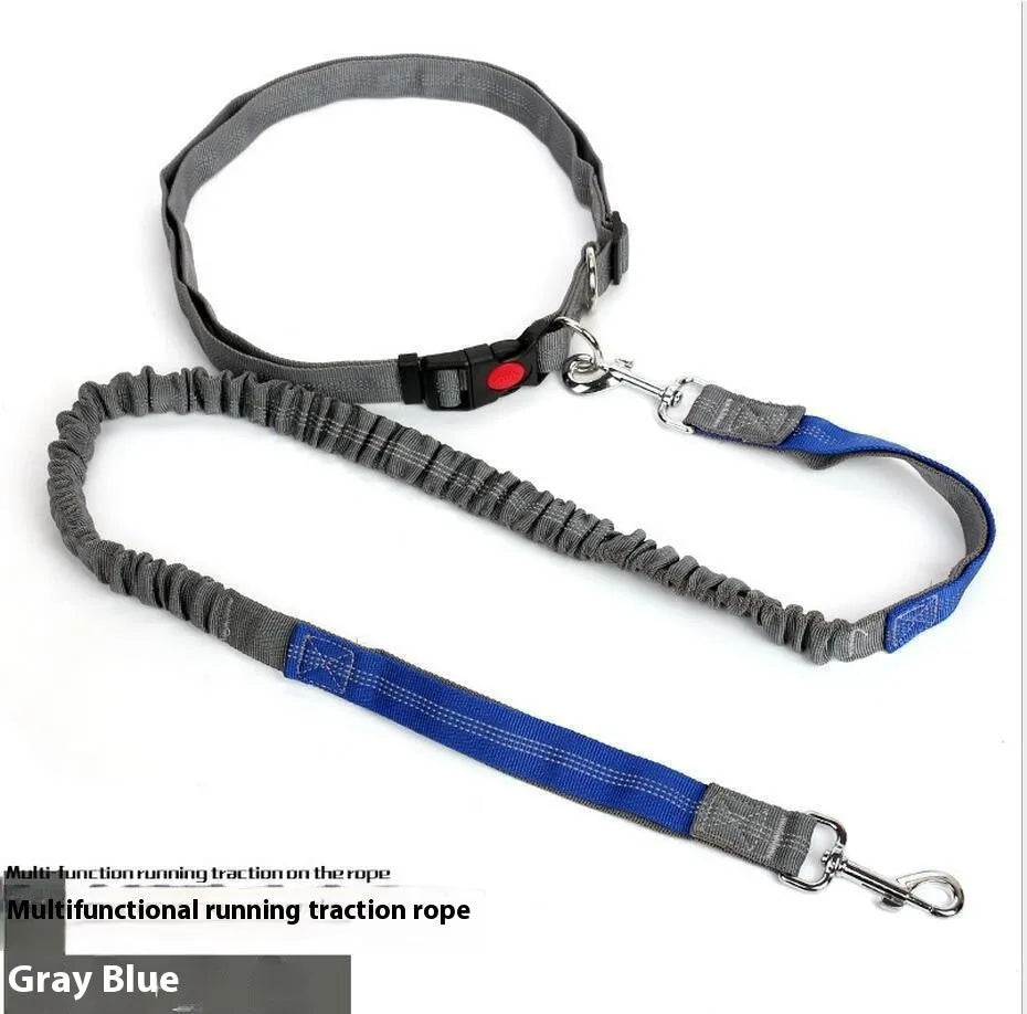 Gray and green nylon dog leash with reflective filament sling for outdoor night safety