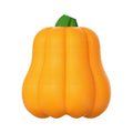 Single pumpkin coloured plastic molar dog toy with an attached rope for chewing and fetch.