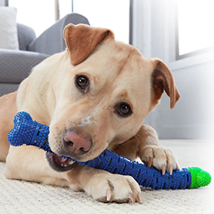 A blue-green silicone dog dental chewing stick with a textured brush head and nodules, showing its 25cm length.