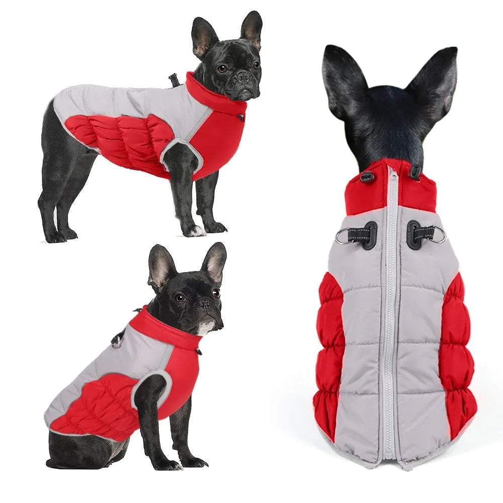 Cotton windproof dog winter coat in black blue red navy blue colours sizes XL 2XL 3XL 4XL 5XL 6XL