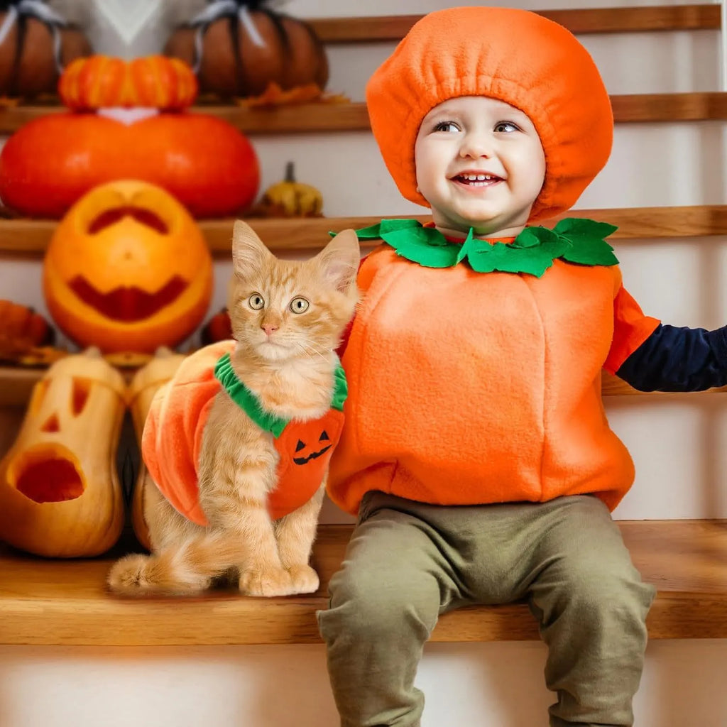 Orange pumpkin plush Halloween costume for small to medium dogs with pullover design
