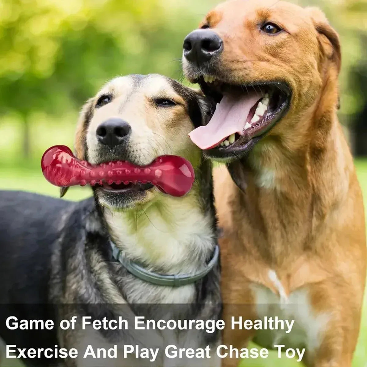 Red natural rubber chew toy for aggressive dogs and strong chewers