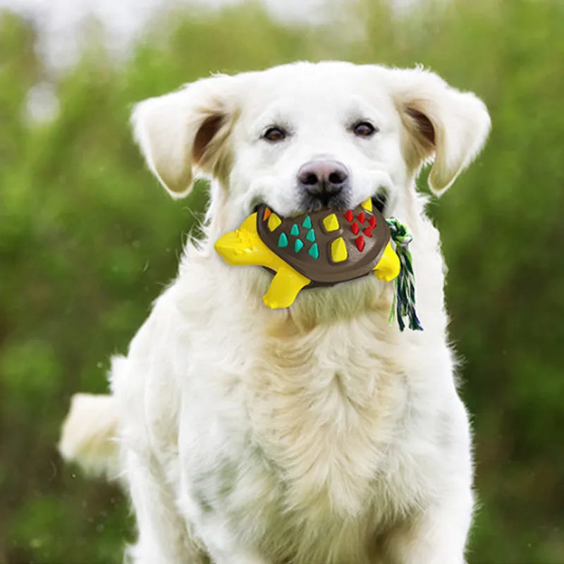 Natural rubber dog toothbrush chew toy with knotted tail in assorted chocolate and grey colour combinations.