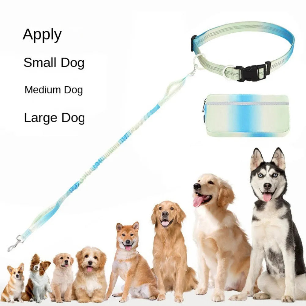 Blue hands-free dog leash with waist belt and reflective elements extended to full length