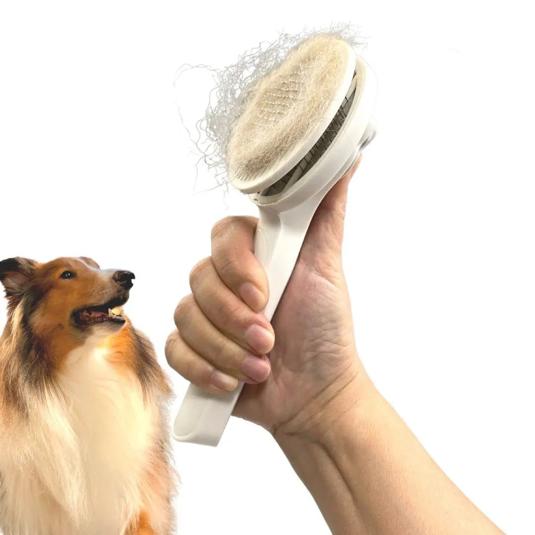 Self-cleaning pet grooming slicker brush with blue handle and stainless steel bristles