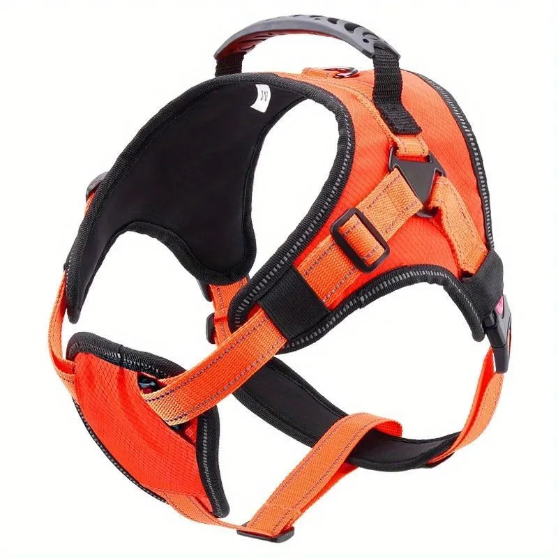Orange adjustable nylon dog harness with reflective strips and mesh panels shown on dog