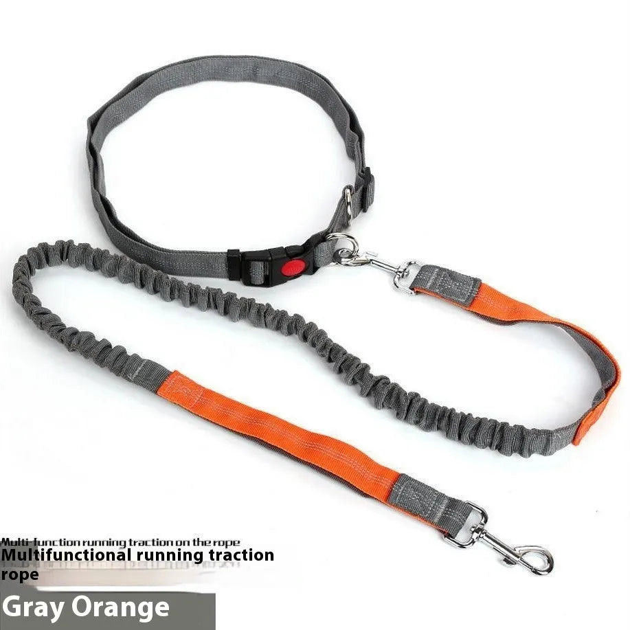 Gray and green nylon dog leash with reflective filament sling for outdoor night safety