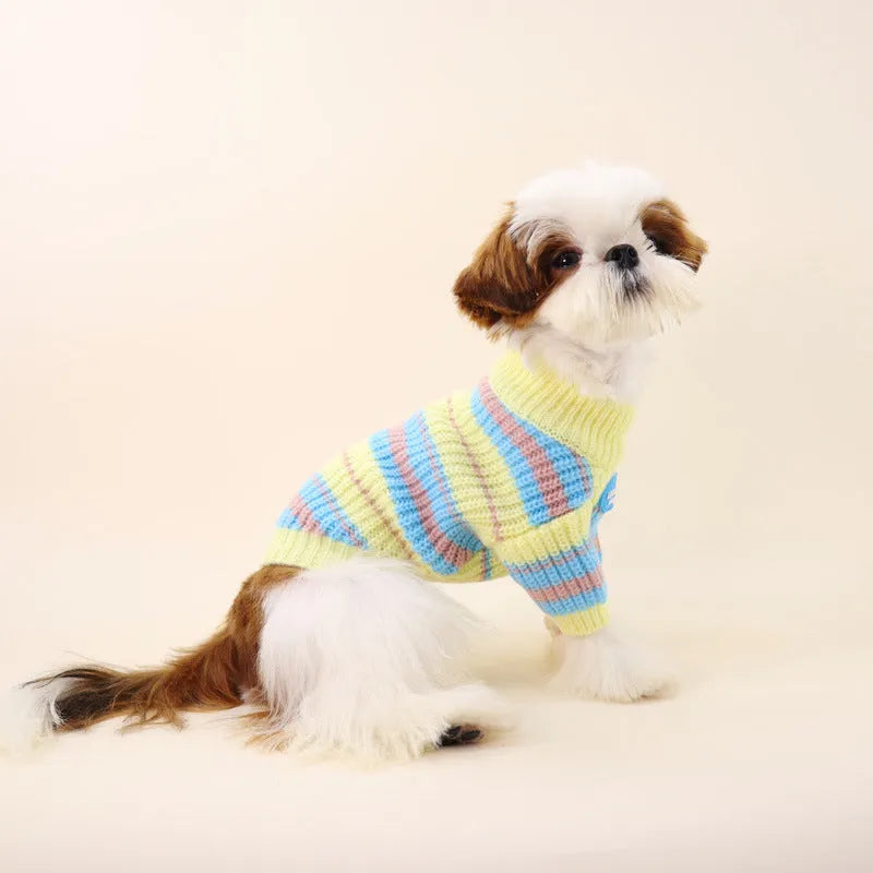 Blue and yellow striped wool jumper for small dog on autumn winter background