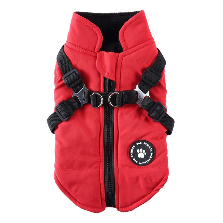 Chest strap dog winter jacket in blue, showing padded interior and adjustable strap.