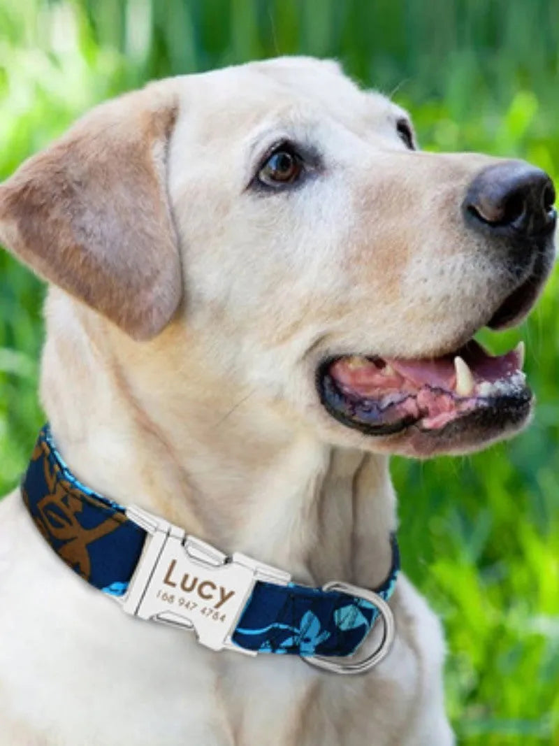 Adjustable buckle dog collar shown in black, green, and rose red colours