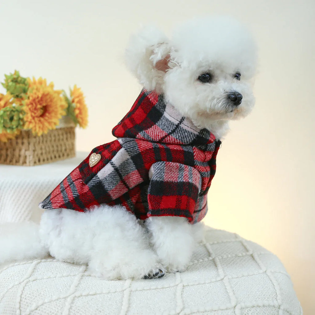Red plaid dog trench coat on a medium-sized dog, showing the structured collar and classic trench design for winter.