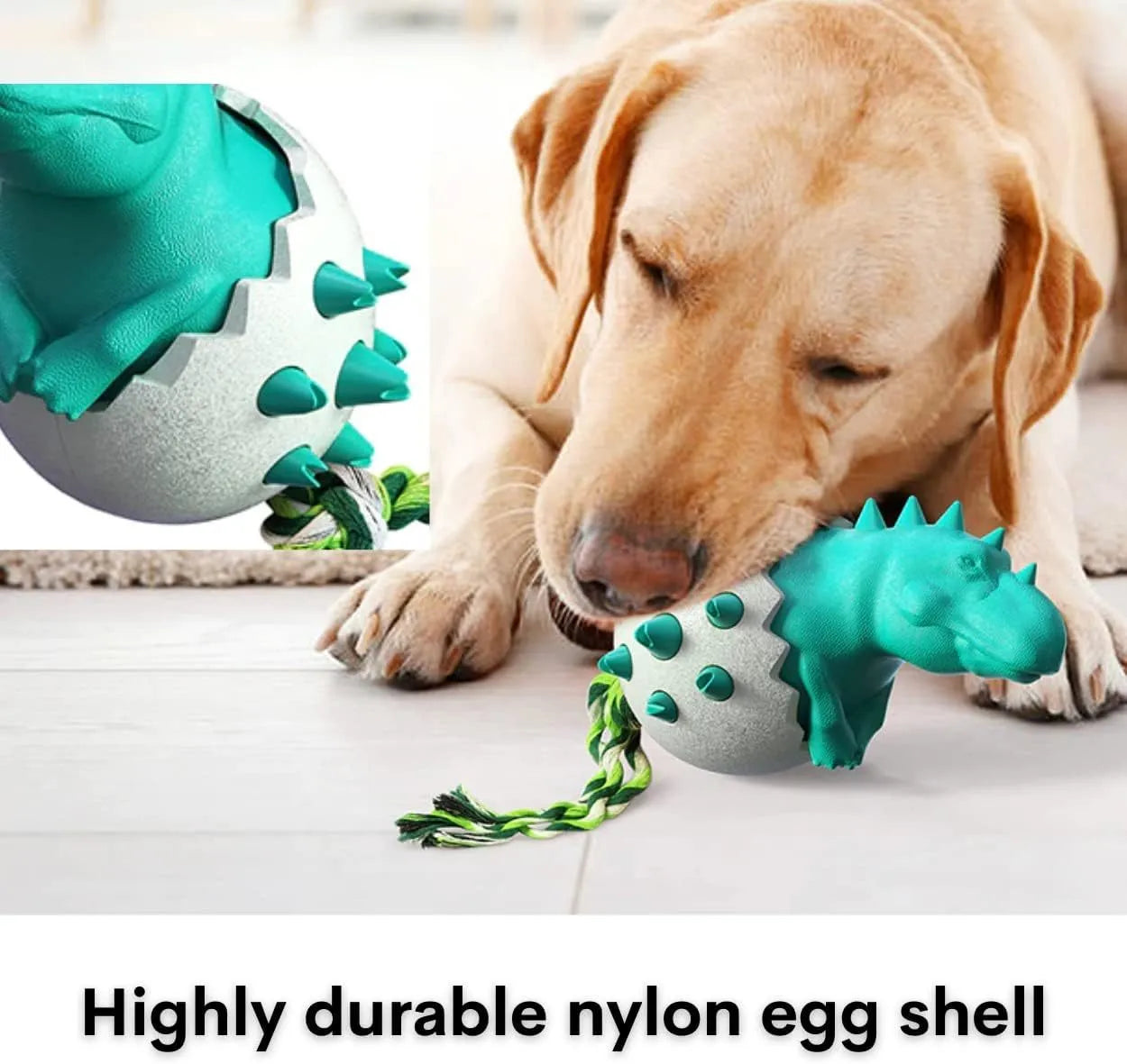 Blue dinosaur-shaped dog chew toy with textured nubs and an attached rope for aggressive chewers.