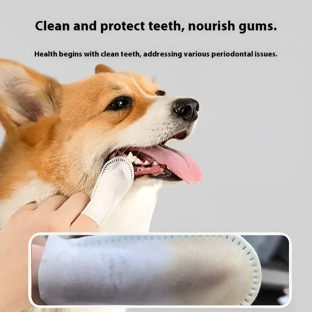 Pack of 50 soft non-woven fabric finger stalls for cleaning cat and dog teeth.