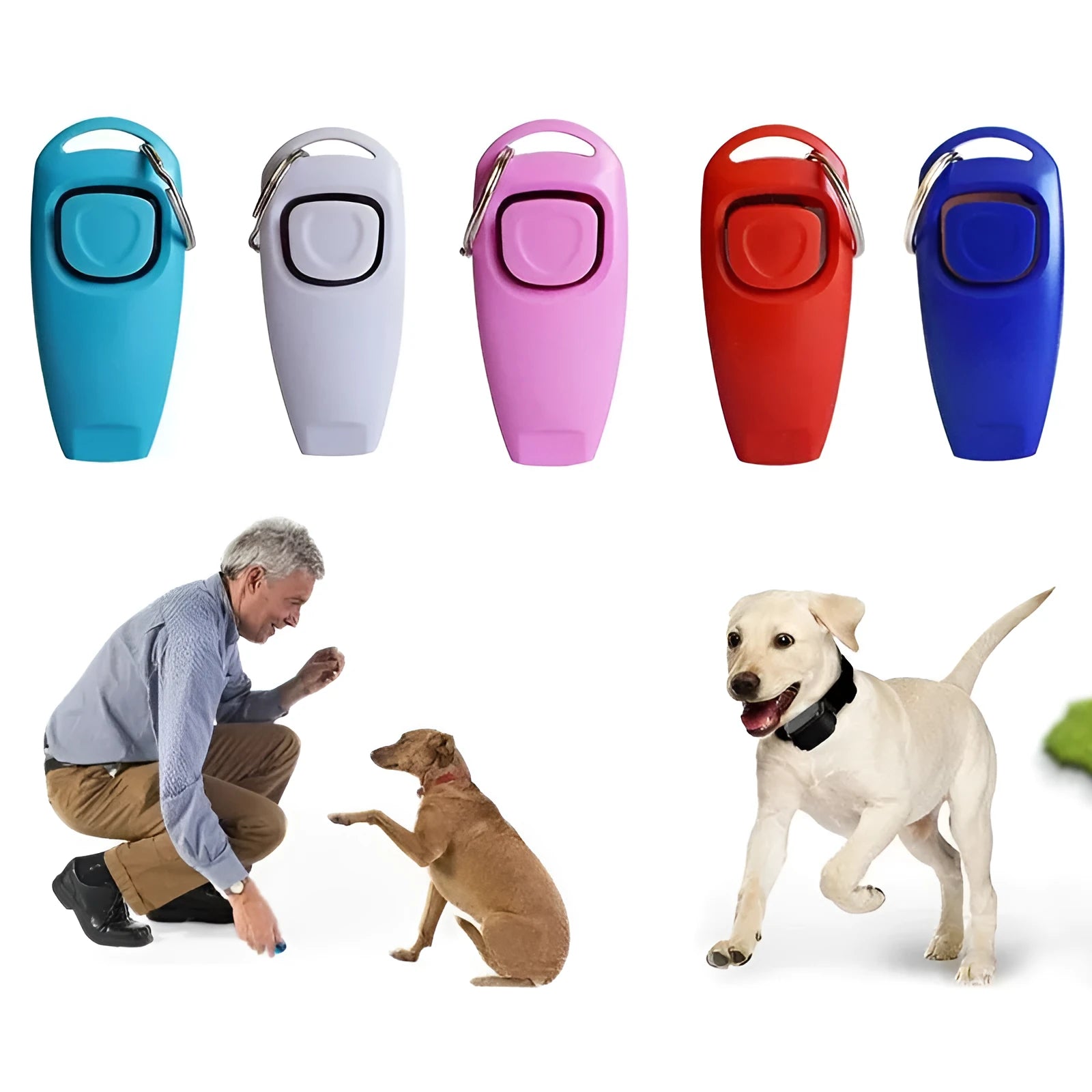 Professional dog training clicker whistle set in assorted colours with key ring