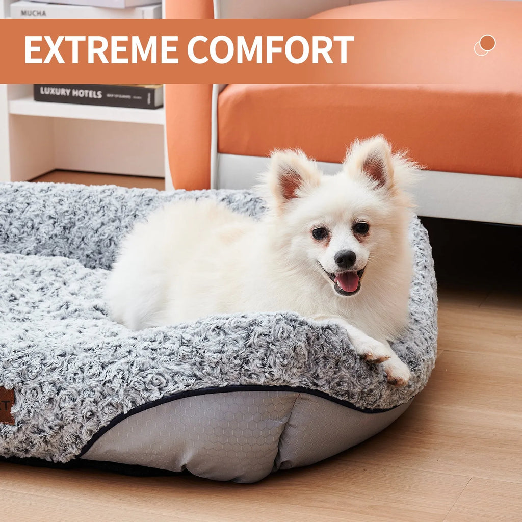 Swirl Rose Velvet dog bed with raised rim and removable cushion on a floor, size option S, M, or L.