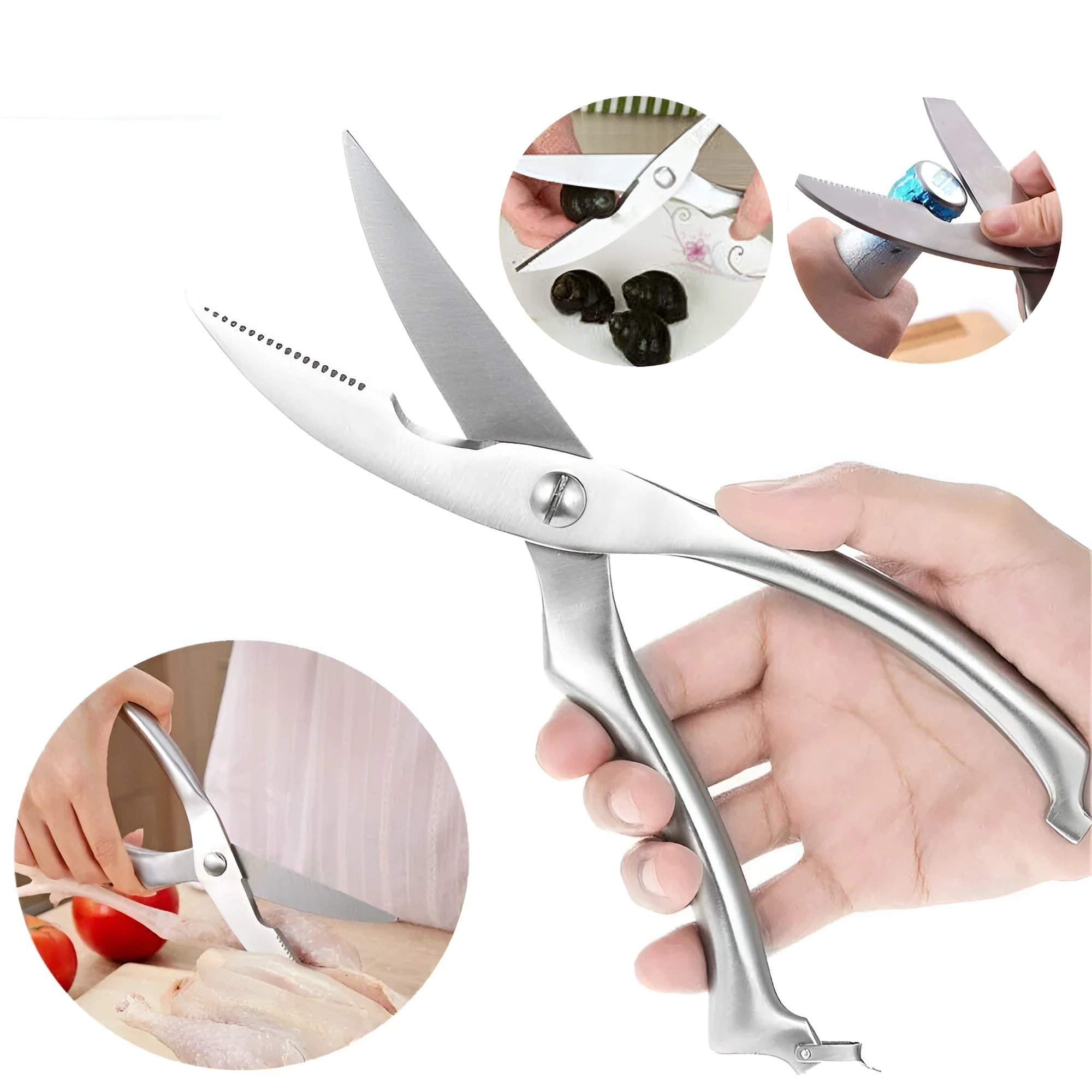 Silver stainless steel kitchen shears 25cm with serrated blade and ergonomic handle for cutting poultry bones