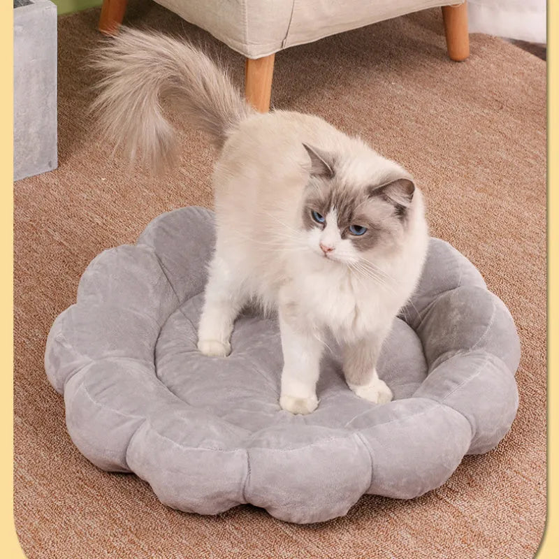 Blue petal-shaped half-surrounded pet bed with plush fabric for dogs and cats