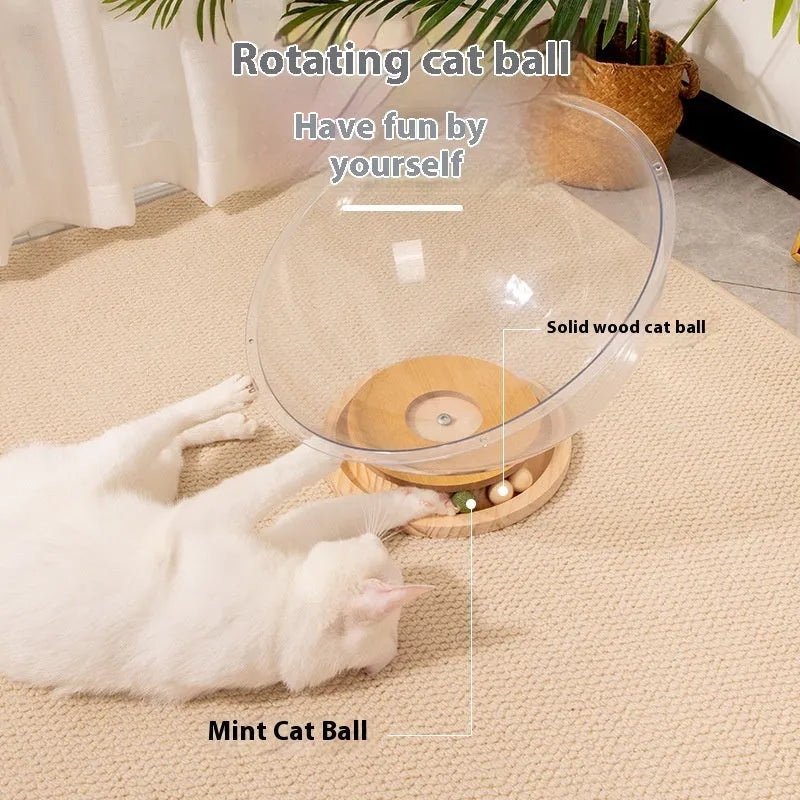Transparent acrylic bathtub-shaped cat space capsule on a wood board base.