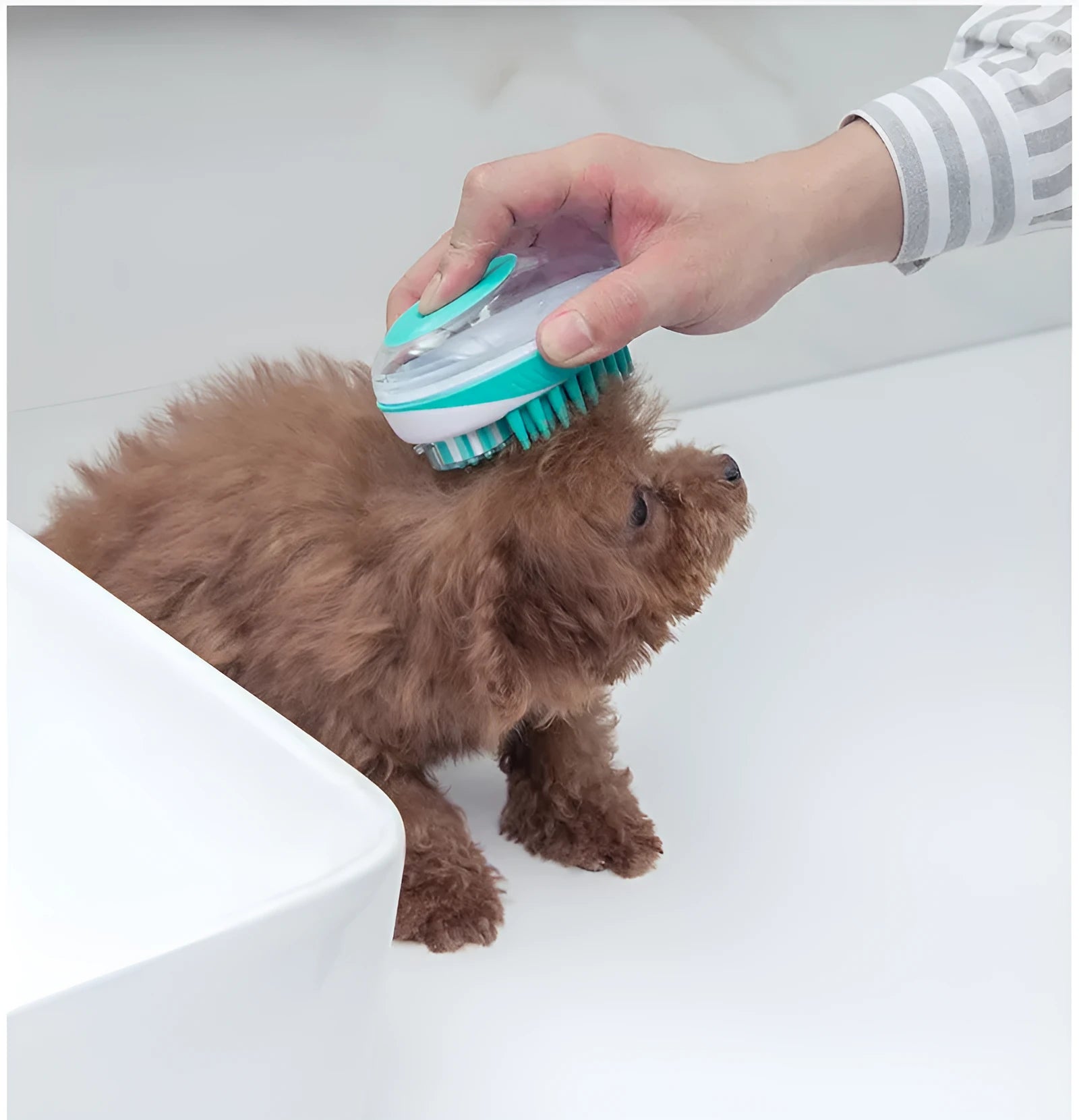 Blue pet bath massage brush made from ABS plastic, 11.5 cm long, for cats and dogs