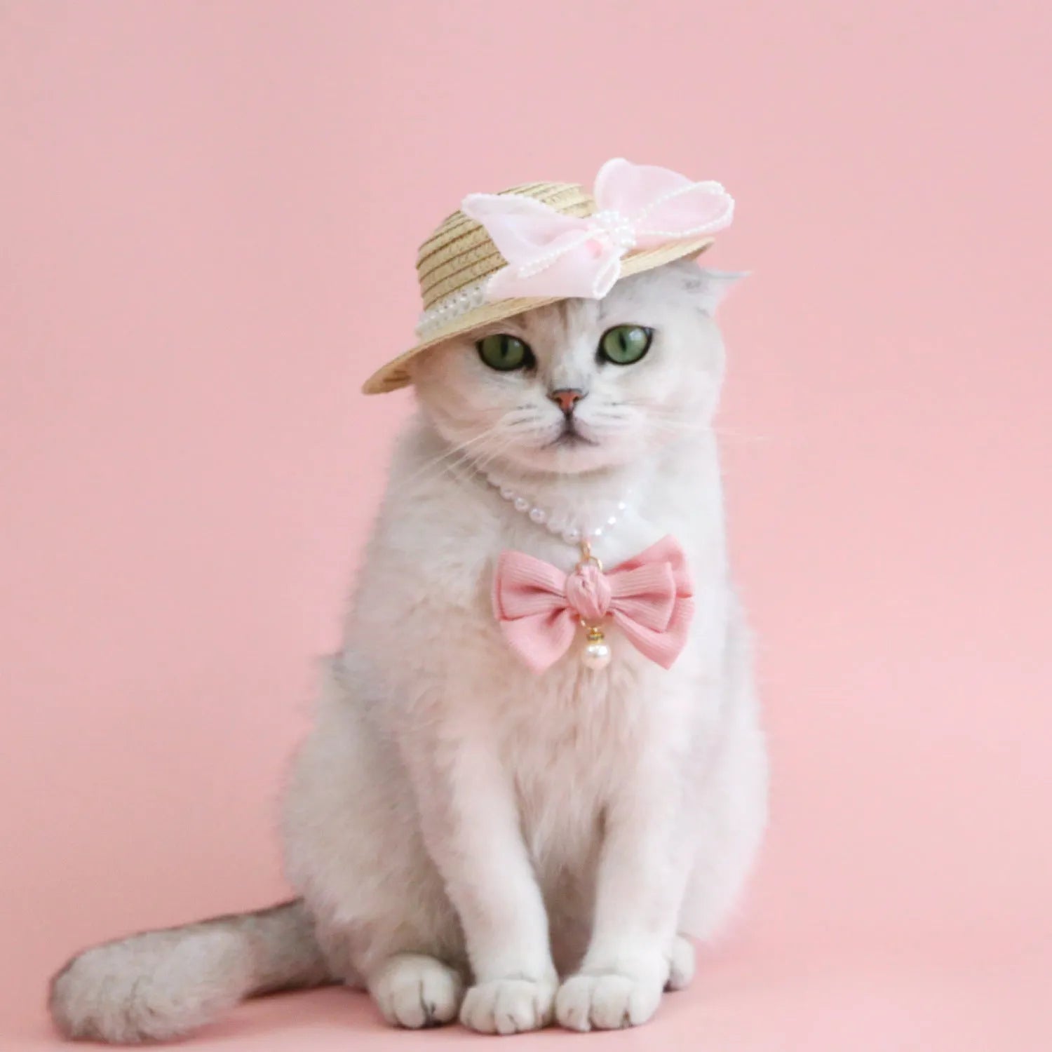 Pet cat wearing straw hat with pearl bow decoration in princess style costume accessory