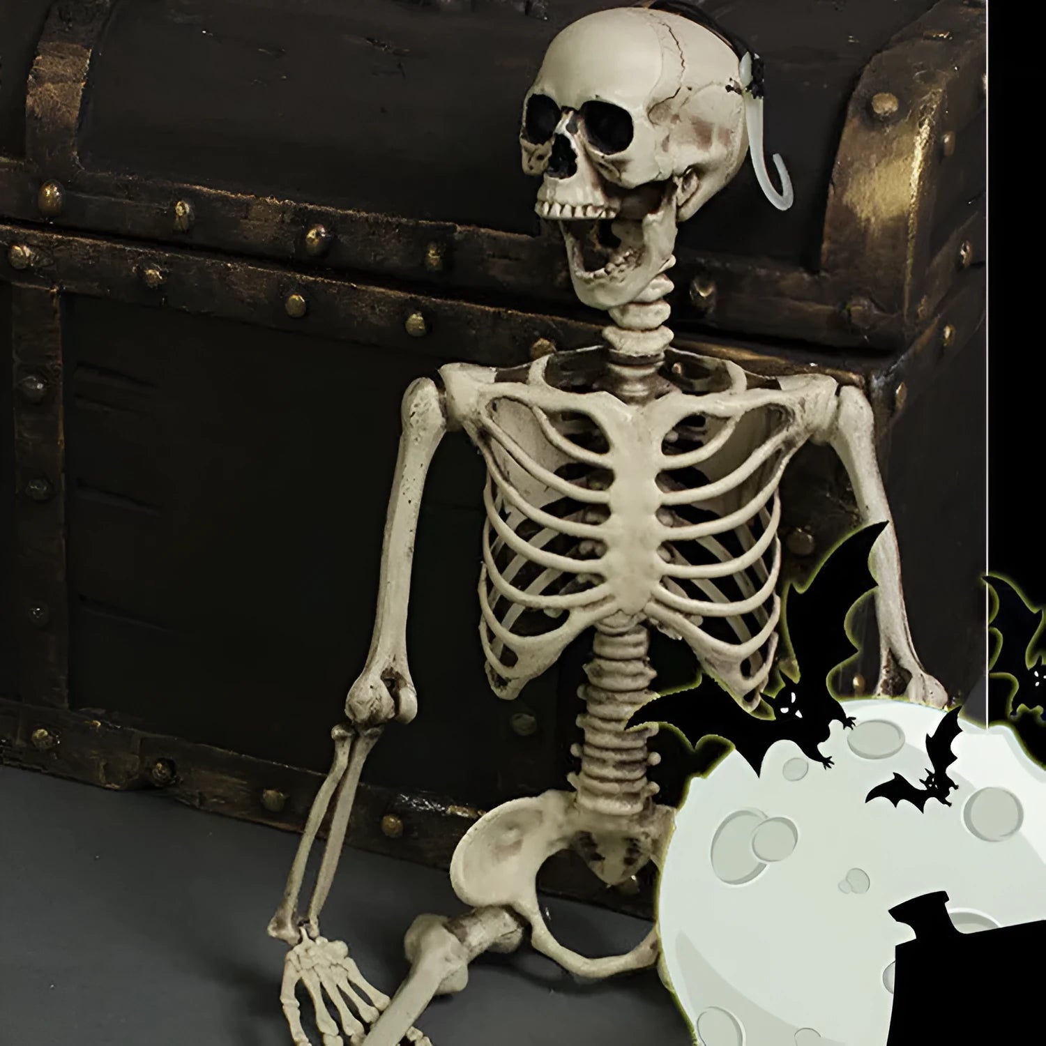 170cm tall plastic skeleton prop with detailed skull displayed upright