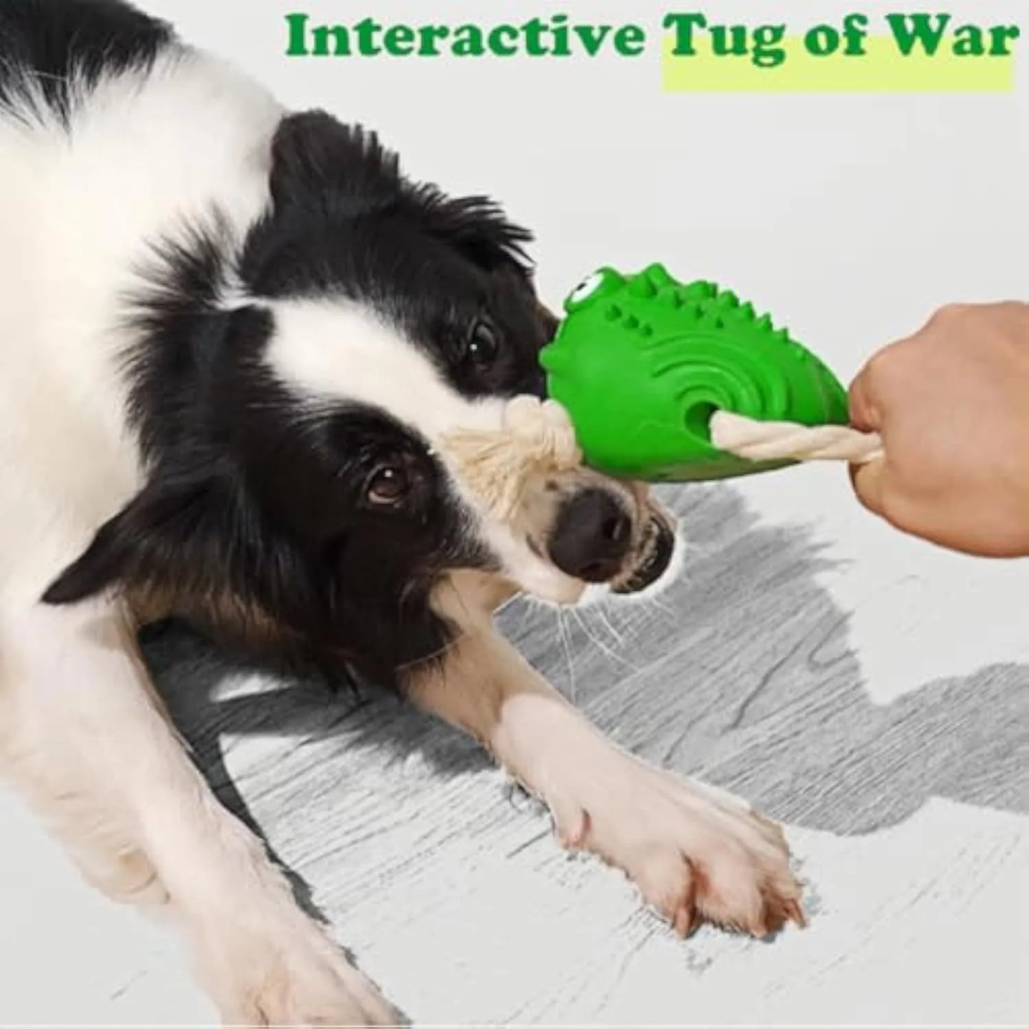 Green indestructible rubber toad dog toy with cotton rope legs and black button eyes, for aggressive chewers