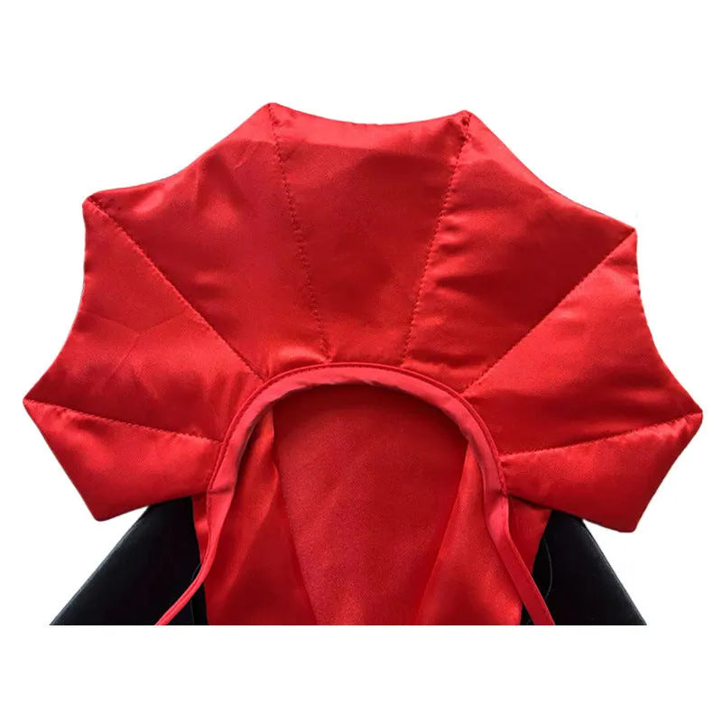 Red bat wing cloak and pointed hat Halloween costume set on a small dog.