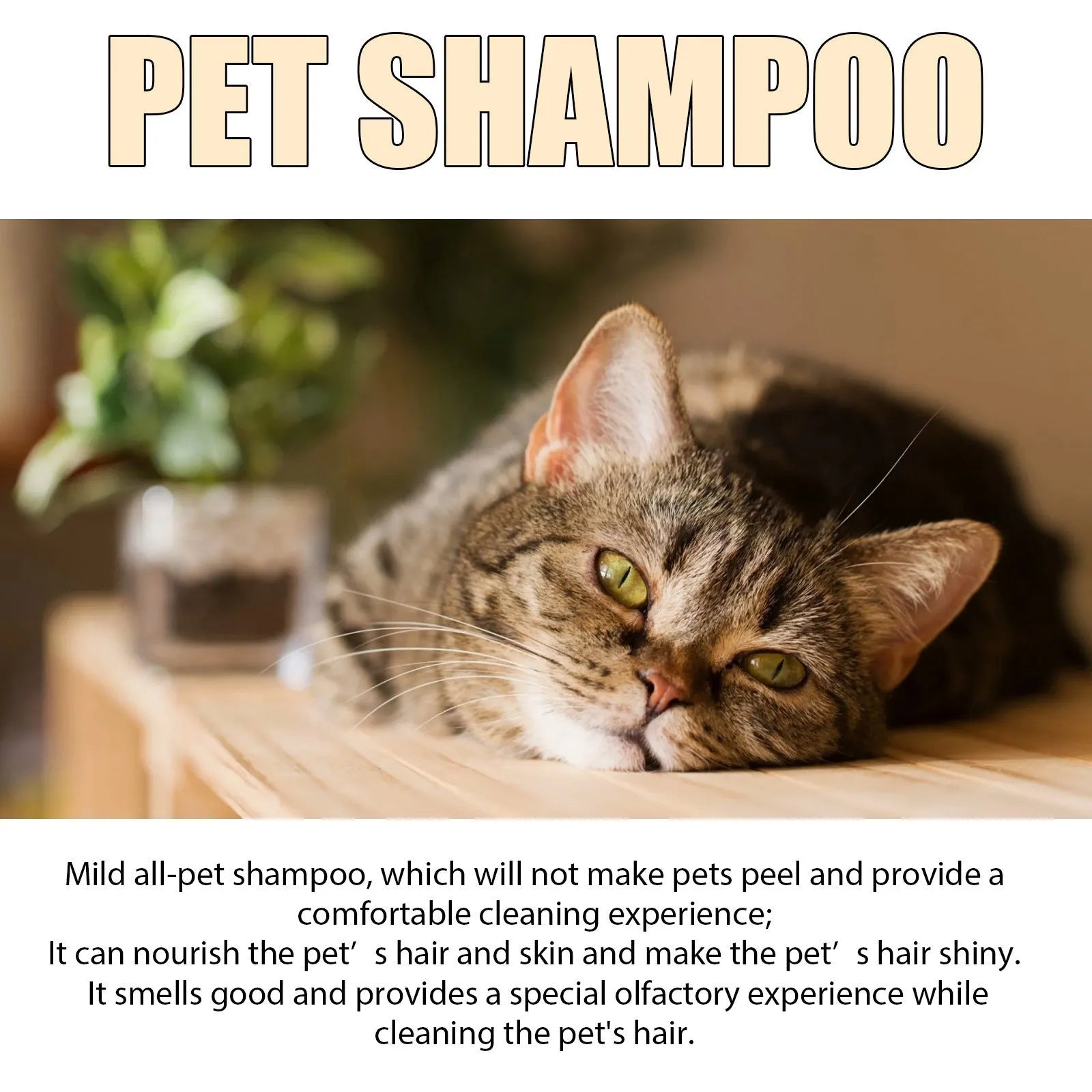 Bottle of mild pet shampoo for cats and dogs that leaves hair soft and unknotted