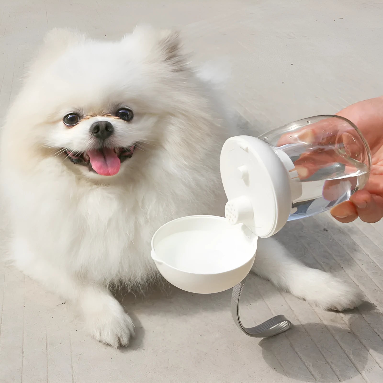 Foldable 300ml high temperature resistant plastic pet drinking cup in pink mushroom colour for outdoor use