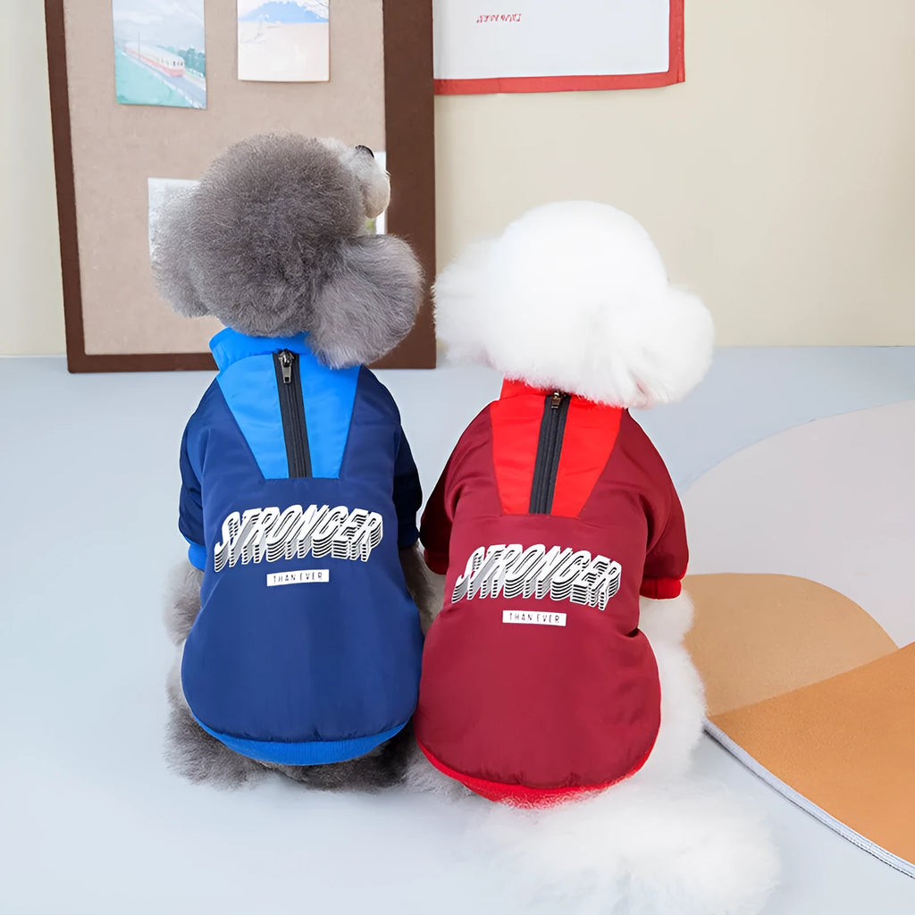 Red or blue thick cotton V-shaped splicing coat for dogs on size chart.