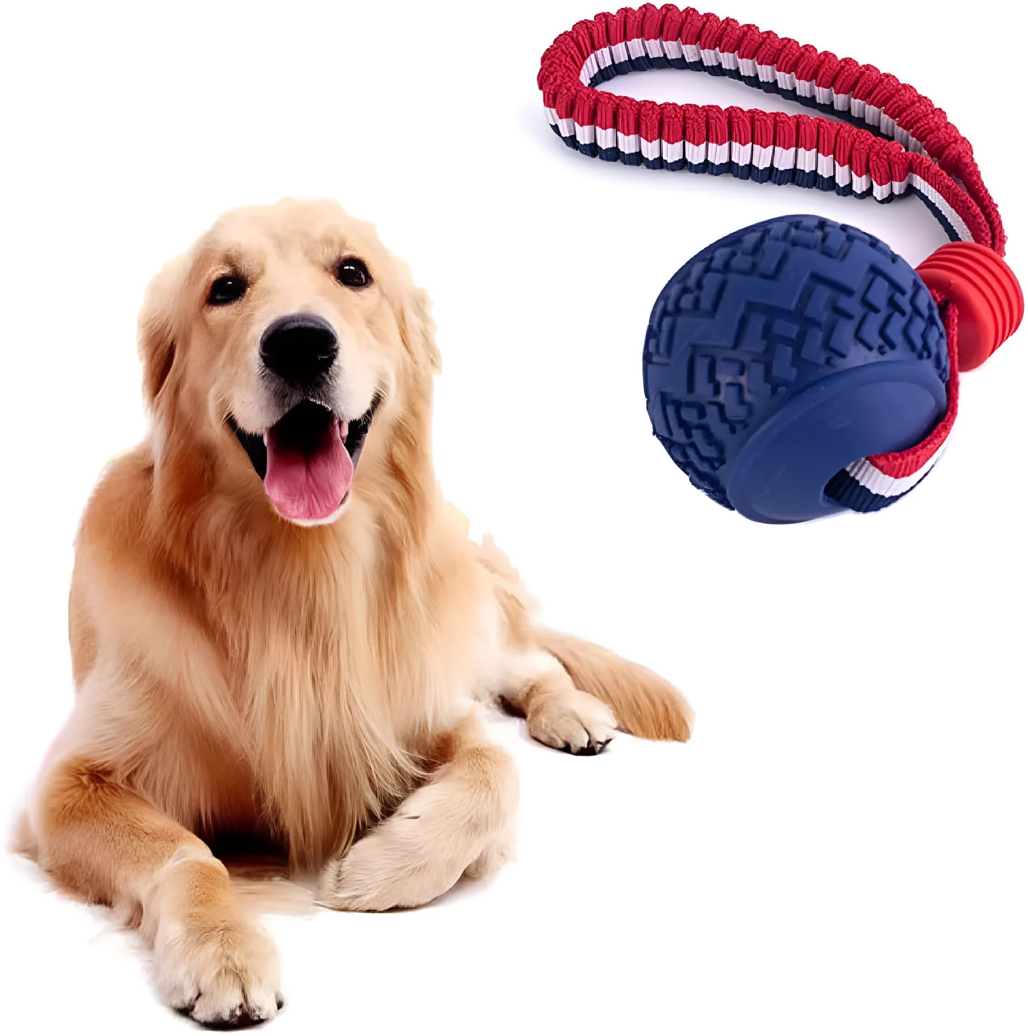 Blue rubber dog ball with rope attached, showing textured surface.