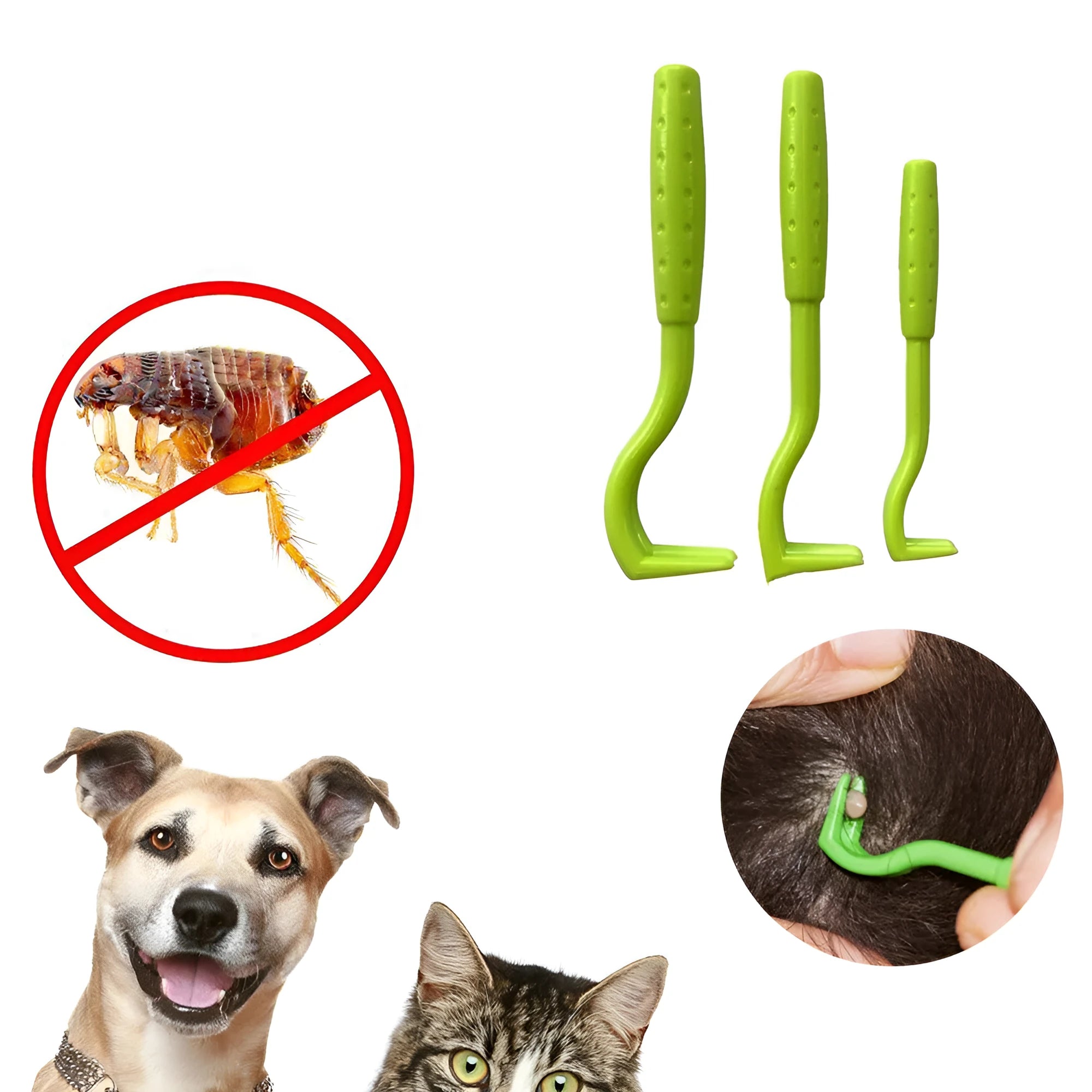 Three plastic pet tick removal hooks in blue and green colours for dog and cat parasite elimination